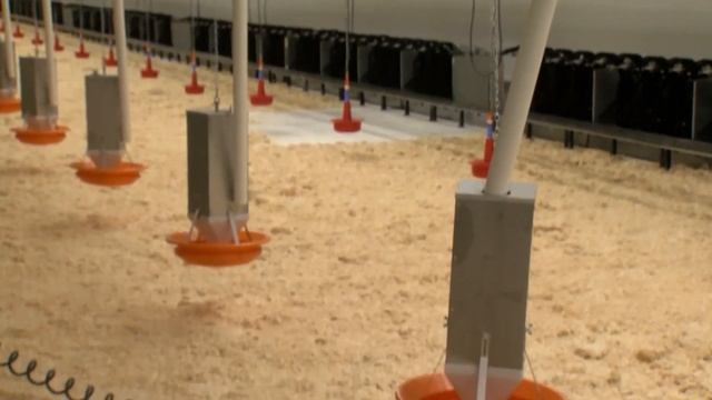 "Живая деревня" (19.08.23) смотреть онлайн