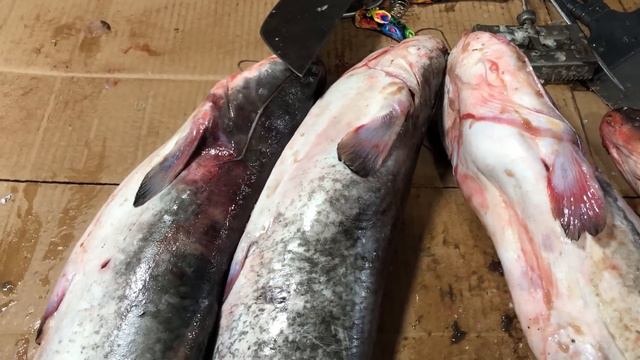 Самый большой рынок в Дагестане нереальные цены #2 смотреть онлайн