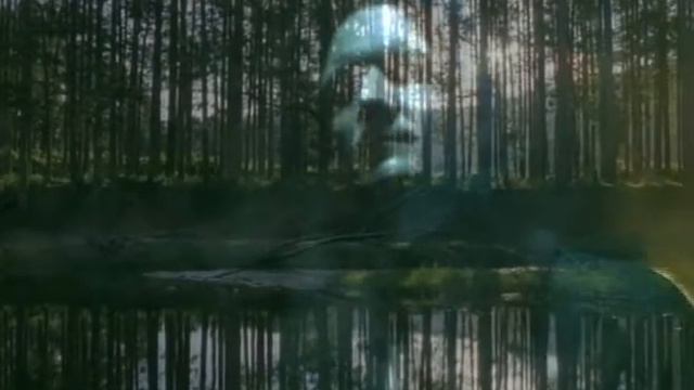 Заставка к сериалу Рев / Roar Opening Credits смотреть онлайн