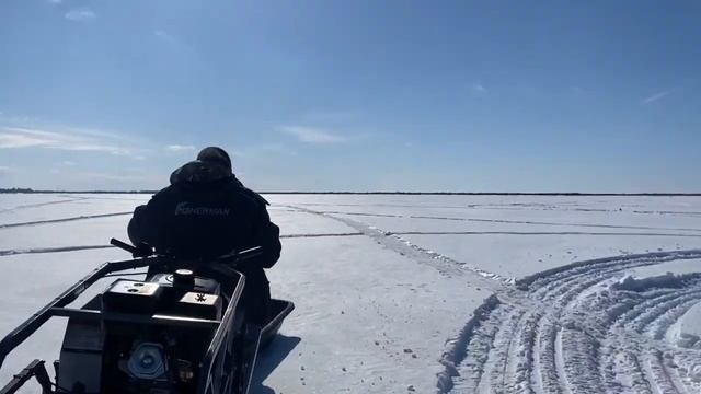 Мотособака IKUDZO с модулем толкач. Рыбалка. Щука.