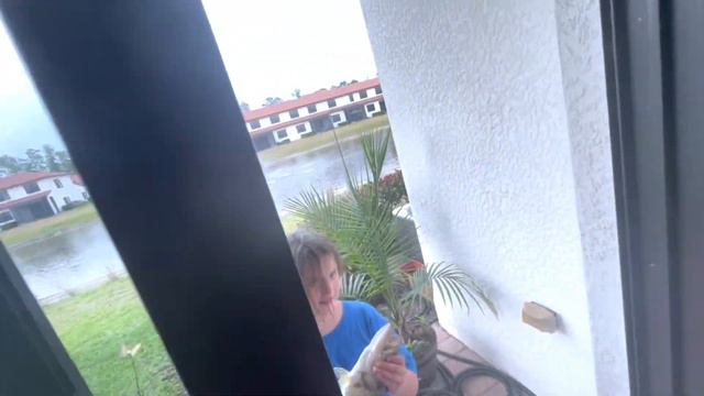 #334 США-ВЛОГ-ОБЫЧНЫЙ ДЕНЬ-ДЕТИ ЛОВЯТ РЫБУ-ВЫХОДНЫЕ-ФЛОРИДА-USADAY - Семейный влог