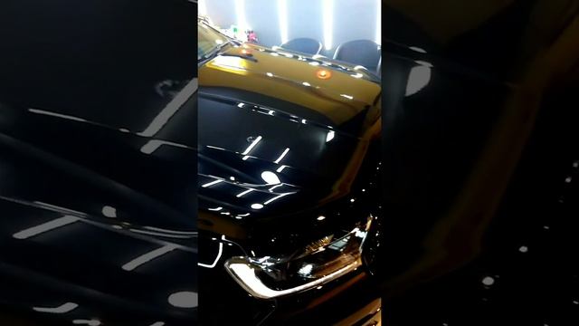FORD ENDEAVOUR || CARPRO CQUARTZ PROFESSIONAL CERAMIC COATING || FANATICS AUTO STUDIO смотреть онлайн