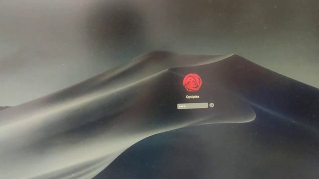 Hackintosh Mojave Win 10 pro probando funcionalidad en una Dell Optiplex 9020 i5-4770 3ghz 16gb 1tb смотреть онлайн