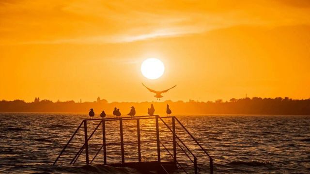 ♫ . Муслим Магомаев - «Солнце И Ты» смотреть онлайн