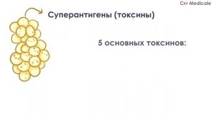 Золотистый стафилококк - микробиология, токсины, лечение, устойчивость
