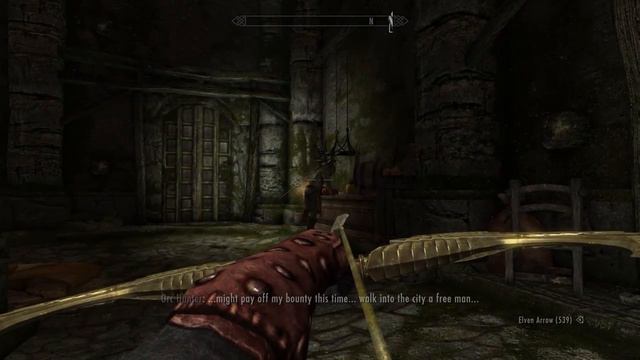 Skyrim-WoodElf-Archer-119 смотреть онлайн