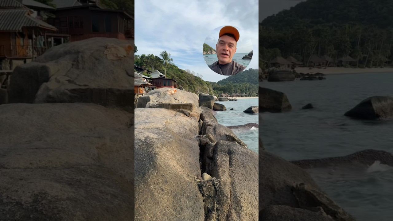 Утренний Снорклинг с акулами на острове Ко Тао. видео на форуме https://t.me/boost/snorklinger смотреть онлайн