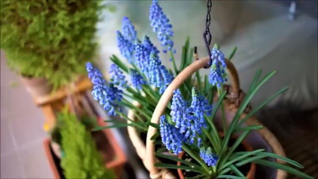 Из-за ссоры детей мы с сестрой разругались. Я долго терпела, но и моему терпению приходит конец! смотреть онлайн