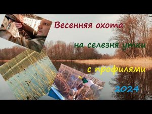 Удачная весенняя охота на селезня утки. #hunting