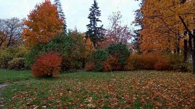 Осень в золоте. смотреть онлайн