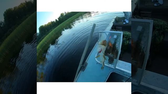 Ловля крупной щуки на Ладожском озере. смотреть онлайн