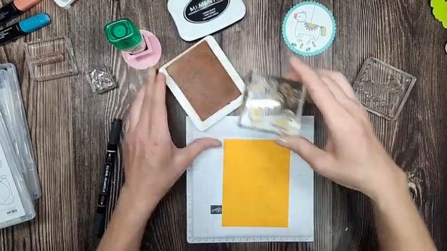 Playing with Erica Cerwin's Taco Fiesta Stamp Set! Making a Pinata Stampin' UP! смотреть онлайн