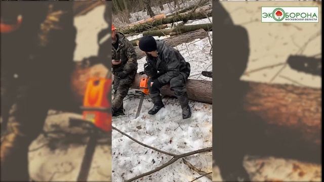 В Бутовский лес пришли лесорубы смотреть онлайн
