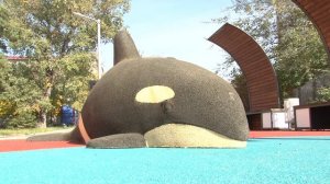 В хабаровском детском психоневрологическом интернате в Тополево открылась новая спортплощадка