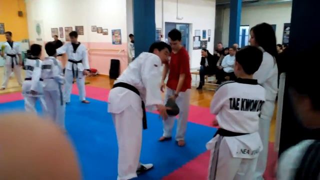 A.S. NEA PAIDEIA TAE KWON DO KOREA TRAINING SEO MIN JAE смотреть онлайн