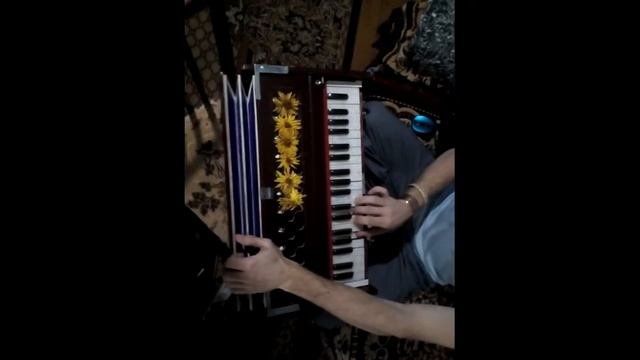 гармонь смотреть онлайн