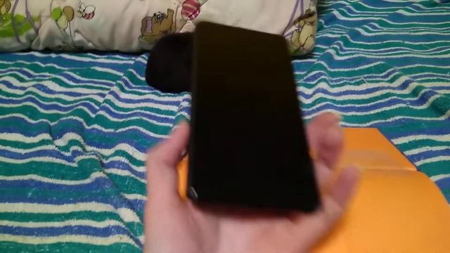 Большой попугай и телефон, вытащенный из клюва смотреть онлайн