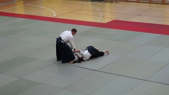 1-й открытый фестиваль СКАА "Торюмонкай". Владимир Букреев, 3 дан айкикай. смотреть онлайн