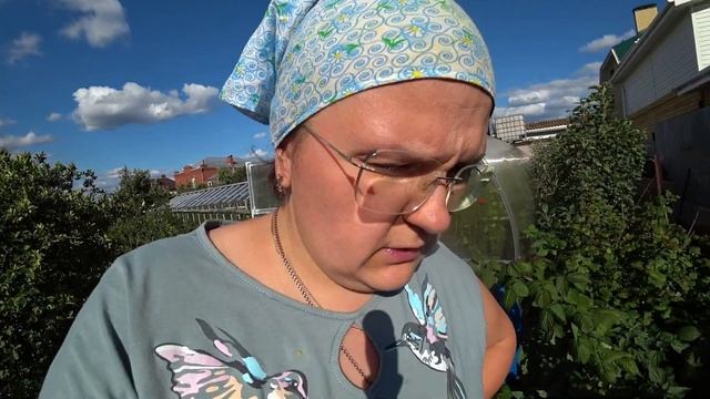 Подготовка кабачков к длительному хранению смотреть онлайн