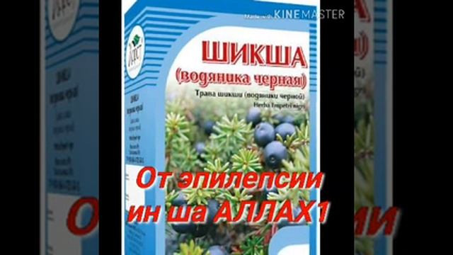 Чёрная шиКша от эпилепсии