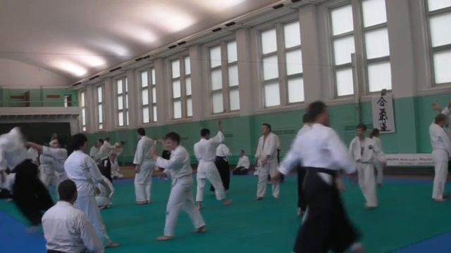 Youth Aikido Federation's of Russia Summer School Eiji Katsurada 2013 16 смотреть онлайн