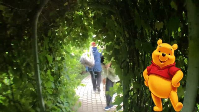 варшава что посмотреть за 1 день смотреть онлайн