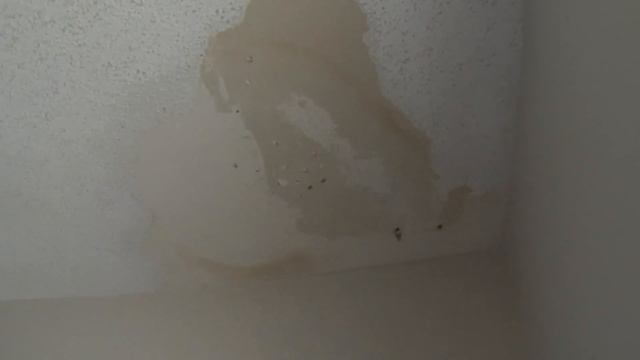 DIY Ceiling Repair - Skim Coat over a Painted Popcorn Ceiling (Part 1) смотреть онлайн