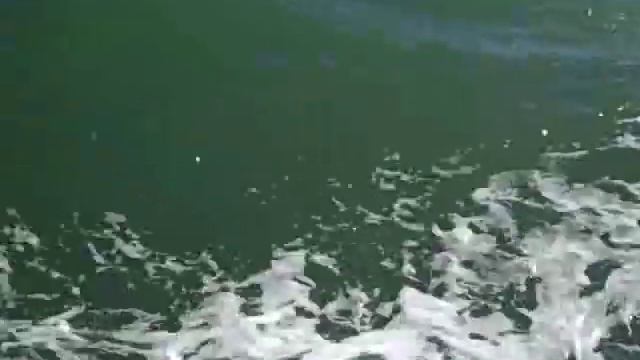 Cabbage Key Cruise смотреть онлайн