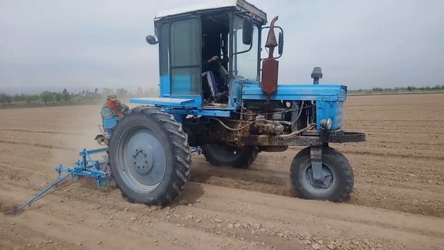 Как посадят хлопок в Азии How to plant cotton in Asia смотреть онлайн