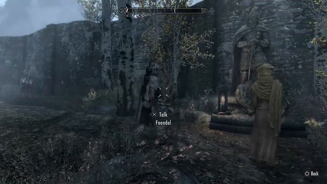 Skyrim how to cure a follower if they are coughing смотреть онлайн