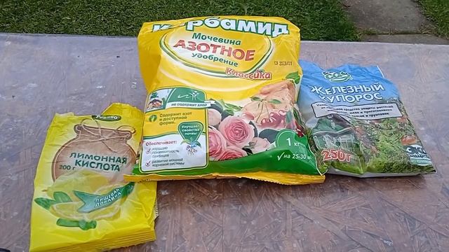 Осенняя искореняющая обработка роз. смотреть онлайн