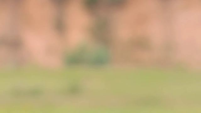 Где-то в Татарстане вдоль трассы М7... красивое место.. смотреть онлайн