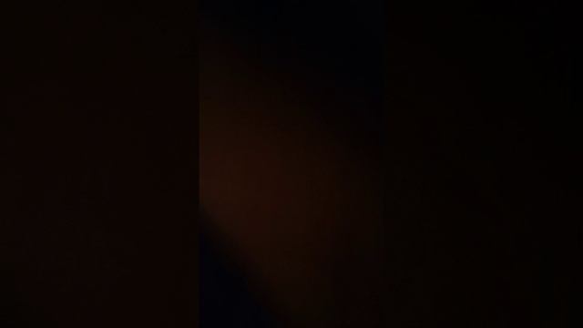 как я ору на кота: смотреть онлайн