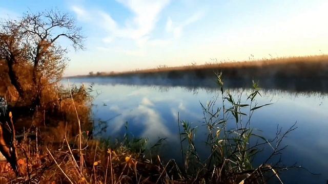 Рыбалка, сазаноловов краснодарский край. смотреть онлайн