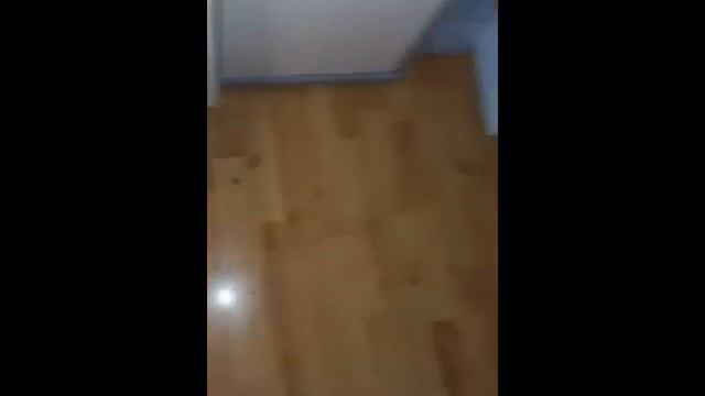Сильно зараженная квартира синатропными насекомыми(тараканы). смотреть онлайн
