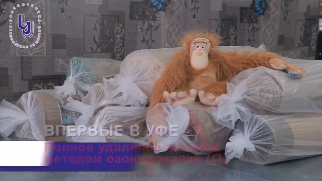 С 5 по 30 апреля 2019 года акция на чистку ковров со скидками до 20% смотреть онлайн