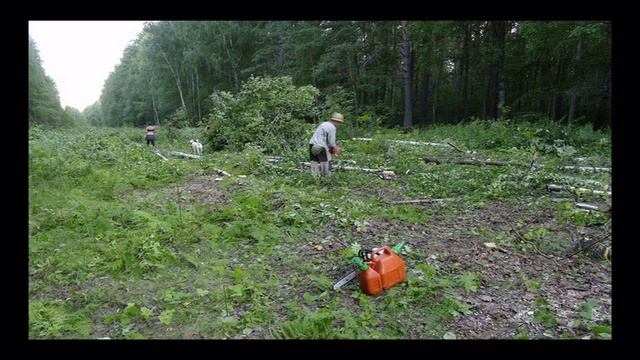 Просека смотреть онлайн
