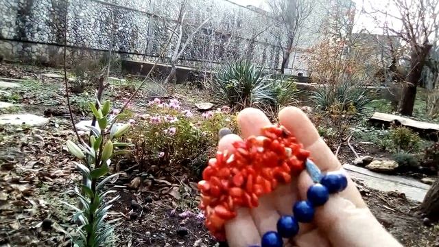 Чистим камни. О любви к живому. смотреть онлайн