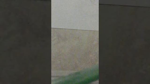 How to draw a Seamoth ( SubNautica Drawings) смотреть онлайн