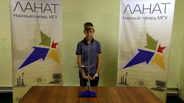 Исследование растений произрастающих на территории лагеря на нитрит- и нитрат-ионы смотреть онлайн