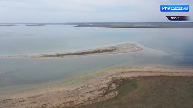 На озере «Маныч Гудило» идёт пролёт водоплавающих птиц смотреть онлайн