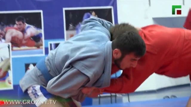 Спортивная жизнь Первенство СКФО по самбо Эфир от 26 11 2020 смотреть онлайн