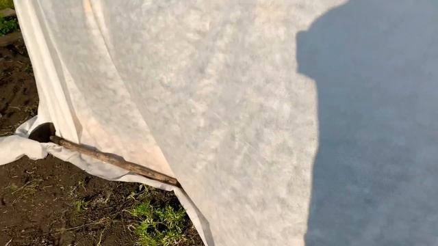 ПАРНИК СВОИМИ РУКАМИ/НОЧЕВКА НА ДАЧЕ/ЗАКОНЧИЛА ПАРНИК КУПИЛА ЗАБРОШЕННУЮ ДАЧУ[ЧАСТЬ 11] смотреть онлайн