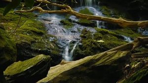 Спокойная, мягкая, инструментальная музыка для медитации и сна, 2 часа