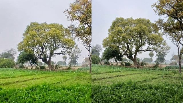 Galaxy A15 5G vs Galaxy A14 5G Camera Comparison? смотреть онлайн