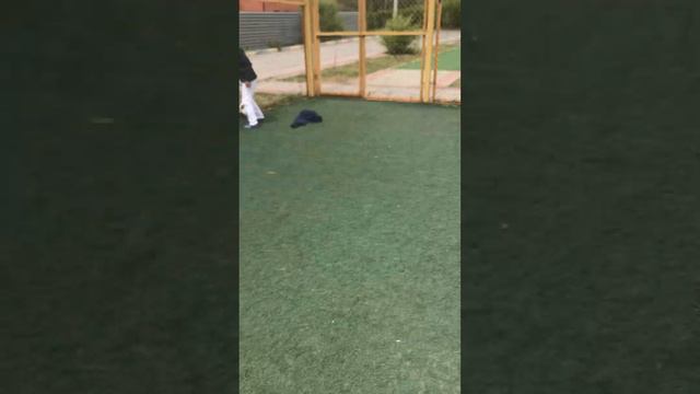 2 мачт счёт 6:3 я не смог сделать конец