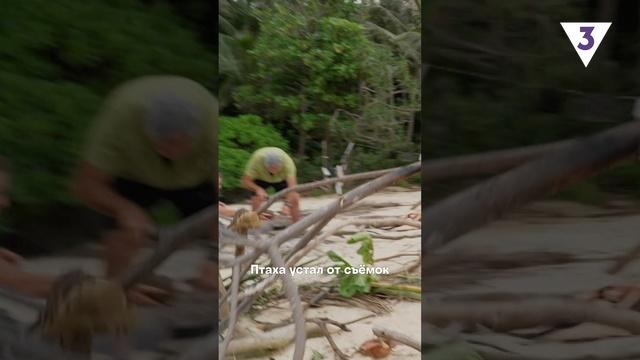 При съемке данного выпуска ни один оператор не пострадал ? смотреть онлайн