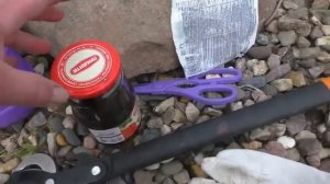 Как вылечить хвойные растения? Фитоспорин - «скорая помощь» при болезни хвойных.