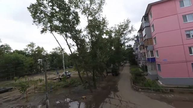 ВЫРУБАЮТ ДЕРЕВЬЯ || КУПИЛИ ФОТОАППАРАТ смотреть онлайн