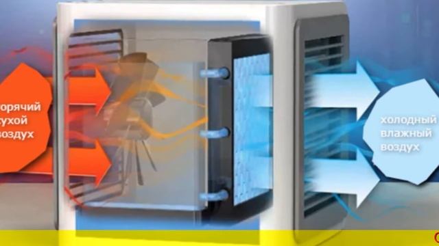 Чистота в каждом движении